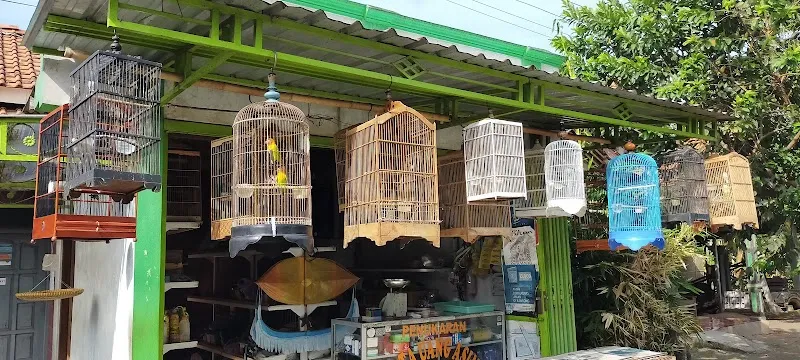 Kios Burung Olala: Tempatnya Burung Hidup Bahagia di Cilacap